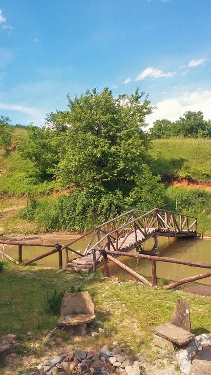 Villa Mark Kraevo Kültér fotó